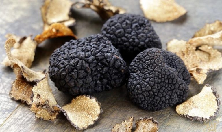 Tartufo Nero Di Norcia Umbria By The Gourmet Specialist